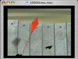 10000 Kites Image